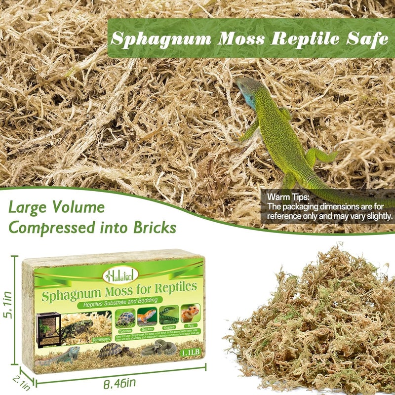 Halatool 1.1LB Sphagnum Moss for Reptiles(Turtles, Geckos, Snakes, Frogs, Hamsters), Natural Forest Long Fibered Dried Moss Bulk for Reptiles Substrate & Bedding - 25QT Reptile Habitat Accessories - Image 2